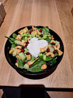 Green Meadow Tofu Bowl at Nooch in Ebikon