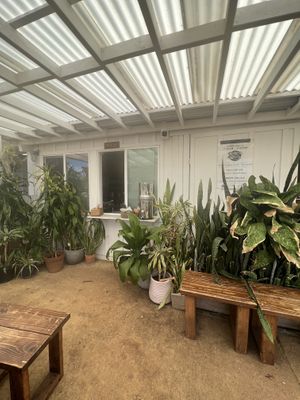   at Raised by the Waves  in Kahuku