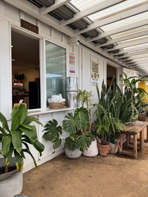   at Raised by the Waves  in Kahuku