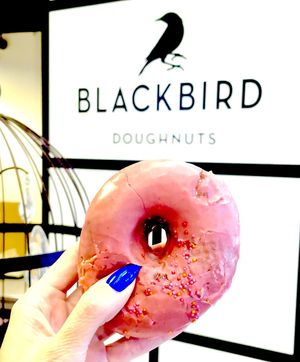 Vegan Carrot Raspberry   at Blackbird Doughnuts in Cambridge