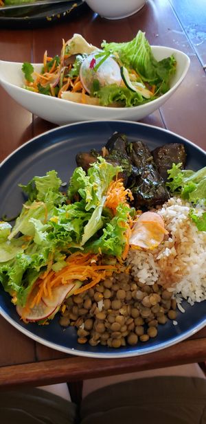 Eggplant cosado and a mushroom Bahn mi at Café Rojo  in San Jose