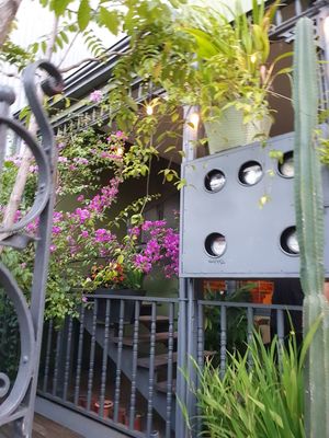 Outdoors at Café Rojo  in San Jose