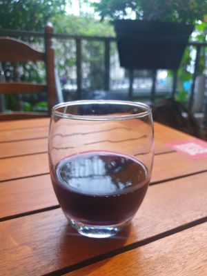 Vegan red wine at Café Rojo  in San Jose