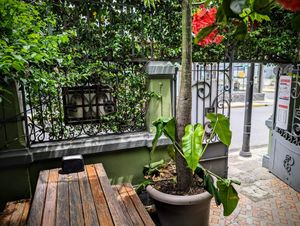  at Café Rojo  in San Jose