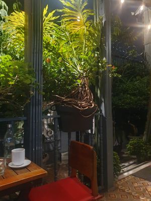 Schönes Ambiente at Café Rojo  in San Jose