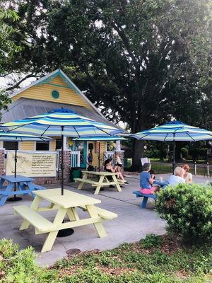 We painted the Scone with sunshine at LaVita Bakery in Dunedin