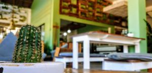 Ene2019 - La Selva Producciones at Gecko Republic Jungle Cafe in Koh Tao