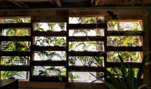 Ene2019 - La Selva Producciones at Gecko Republic Jungle Cafe in Koh Tao