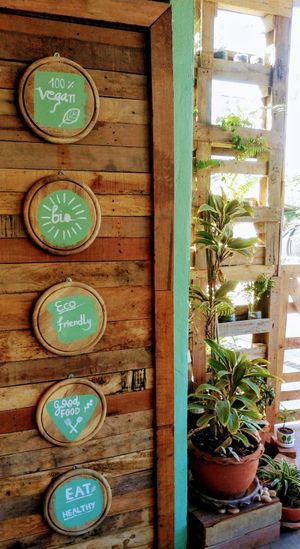 Ene2019 - La Selva Producciones at Gecko Republic Jungle Cafe in Koh Tao