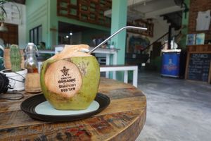 Coconut at Gecko Republic Jungle Cafe in Koh Tao