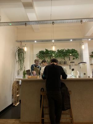 Plants everywhere.  at Jaunty Goat Coffee - Northgate St in Chester