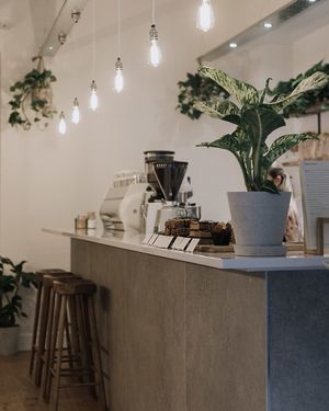 Bar at Jaunty Goat Coffee - Northgate St in Chester