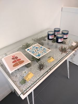 Sustainable home products at BESTIES Vegan Paradise - Hollywood in Hollywood