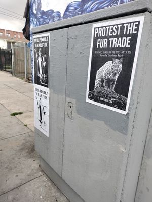 Across from Besties ☮️🖤 at BESTIES Vegan Paradise - Hollywood in Hollywood