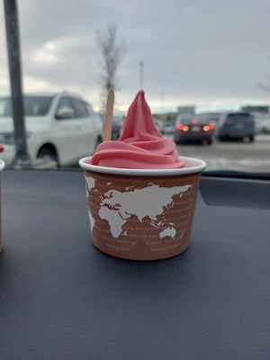 Vegan ice cream at IKEA in Calgary