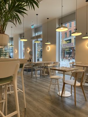 Lovely interior at Stem & Glory in London