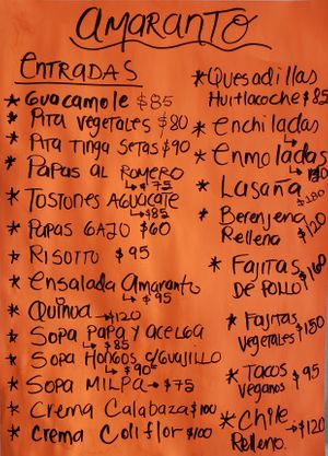 Menu with vegan options at Amaranto in Tulum