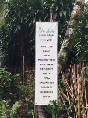 Sign summarizing offerings as of Dec 2019 at Imas Vegetarian Restaurant in San Vincente Palawan