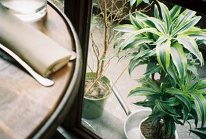 Nice decoration at Simbiosi in Florence