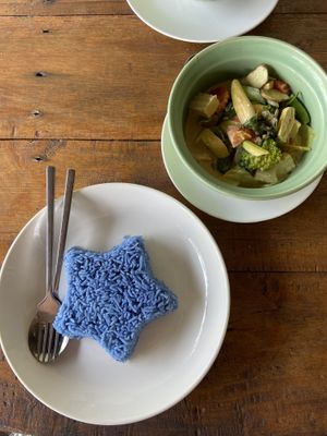 Green Curry with Rice   at Sea Gypsea in Koh Yao Noi