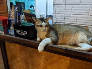  at Yawee in Koh Lanta