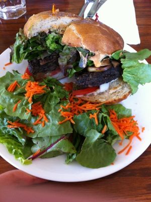 Blackbean-Quinoa Burger with side salad (no dressing) at Wildflower Cafe and Bakery in Arcata