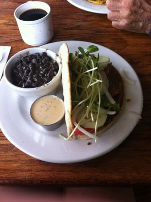 Falafel with a cup of beans and rice ($3 extra) at Wildflower Cafe and Bakery in Arcata