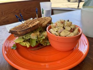   at Wildflower Cafe and Bakery in Arcata