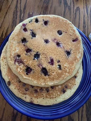 Blueberry and chocolate chip vegan cakes at Wildflower Cafe and Bakery in Arcata