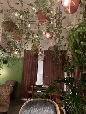   at Criollo Chocolate Café in Drammen
