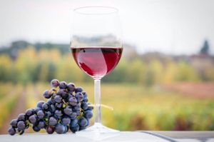 A red wine on your terrace! at Alaya Retreat Centre in Torrelles De Foix