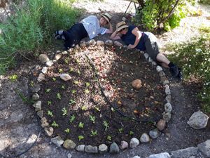Planted !  at Alaya Retreat Centre in Torrelles De Foix