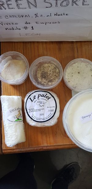 Cow cheese queso de cabra at Green Store in Leon