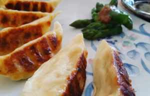 Pot stickers  at Cha-Ya in Berkeley