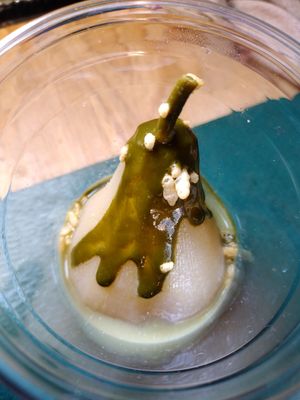 Pear compote dessert. Mildly sweet. at Cha-Ya in Berkeley