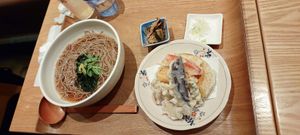 The soba and veggie tempura set. Tempura and vegan dashi were highlights. at Tateshinaan in Tokyo