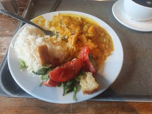 Sweet potato and chickpea curry and tomato and crouton salad. at Foyles Bookshop Cafe in London