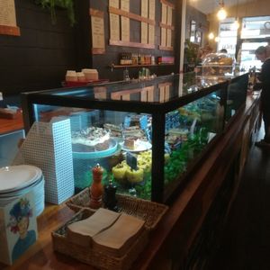 Large cabinet selection at Munch in Palmerston North