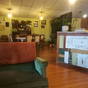 Cosy upstairs area with lots of plants and comfy furniturr at Munch in Palmerston North