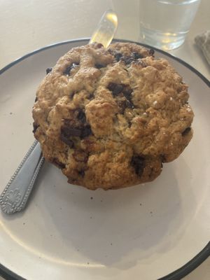 Vegan banana chocolate chip muffin - amazing!  at Munch in Palmerston North