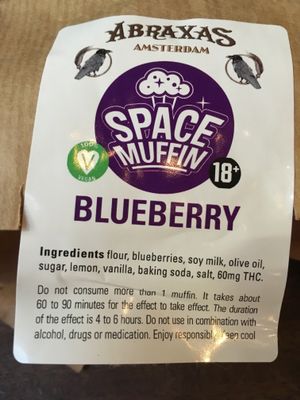 Instructions  at Abraxas in Amsterdam