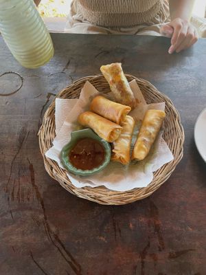 biggest springrolls I've seen! and an amazing big pineapple smoothie  at Hilltop in Koh Muk