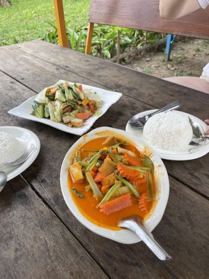 vegetable cashew stirfry and massaman curry. so much better than it looks  at Hilltop in Koh Muk