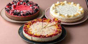 BEST RAW VEGAN BIO CAKES IN THE CITY at Nueva Via Cakes in Bratislava