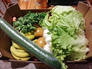 Caja de 15€ at Finca La Caldera in Tenerife