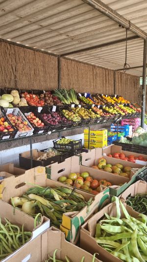  at Finca La Caldera in Tenerife