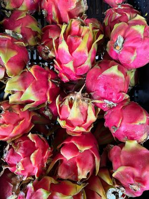  at Finca La Caldera in Tenerife