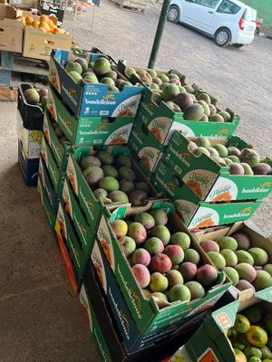  at Finca La Caldera in Tenerife