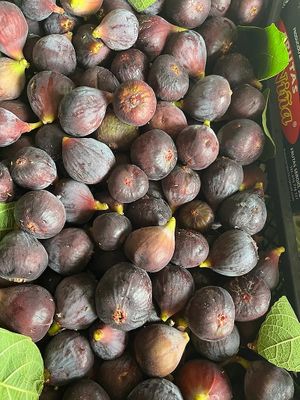  at Finca La Caldera in Tenerife