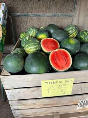  at Finca La Caldera in Tenerife